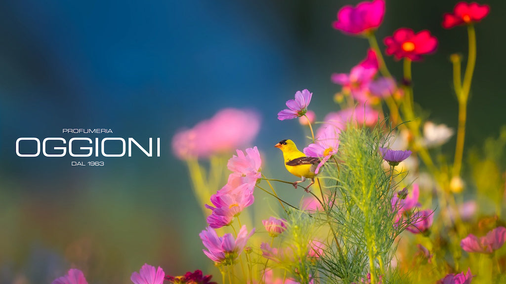 PROFUMI PRIMAVERILI