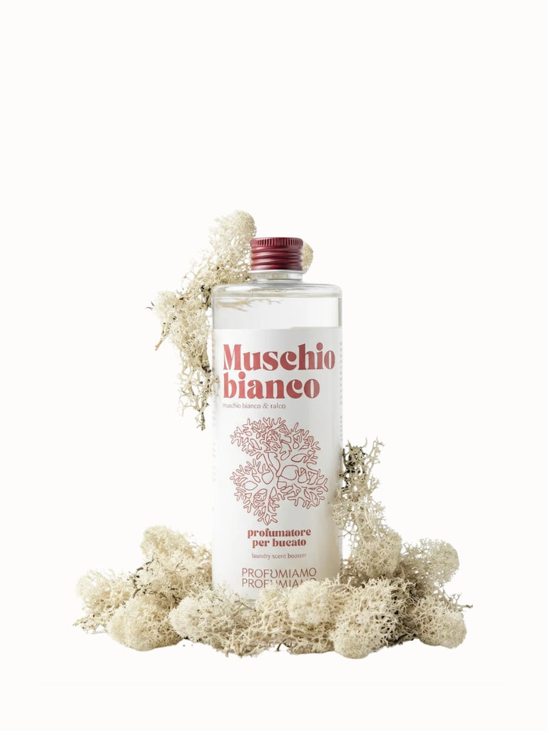 Muschio Bianco - Profumiamo